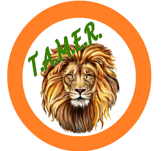 Anger Management Lion Logo